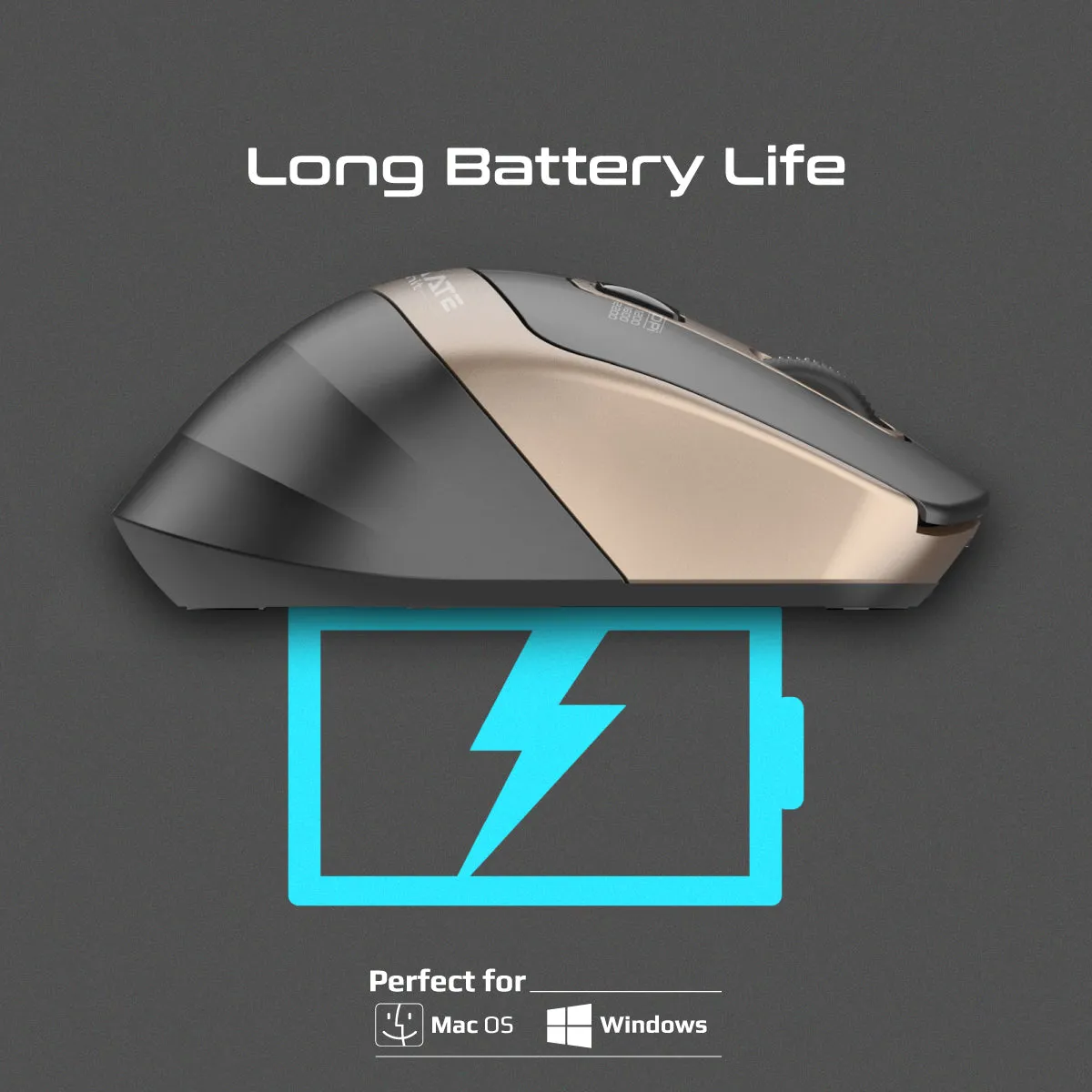 2.4GHz Ergonomic 2200 DPI Silent Click Wireless Mouse