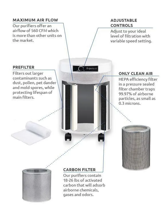 Airpura G600DLX Maximum Protection Odor-Sensitive and MCS Air Purifier