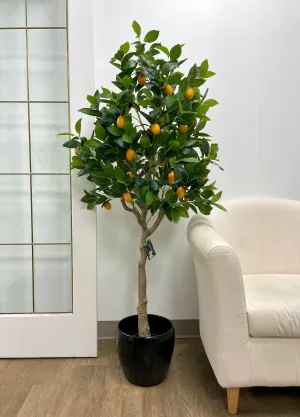 Artificial Lemon Tree