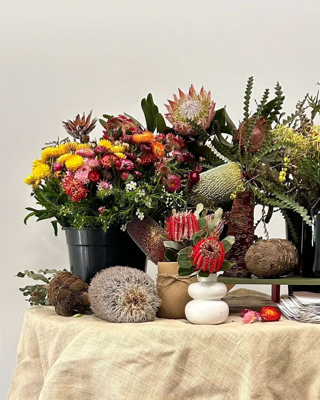 BOTANICAL DRAWING WORKSHOP: AUGUST 23