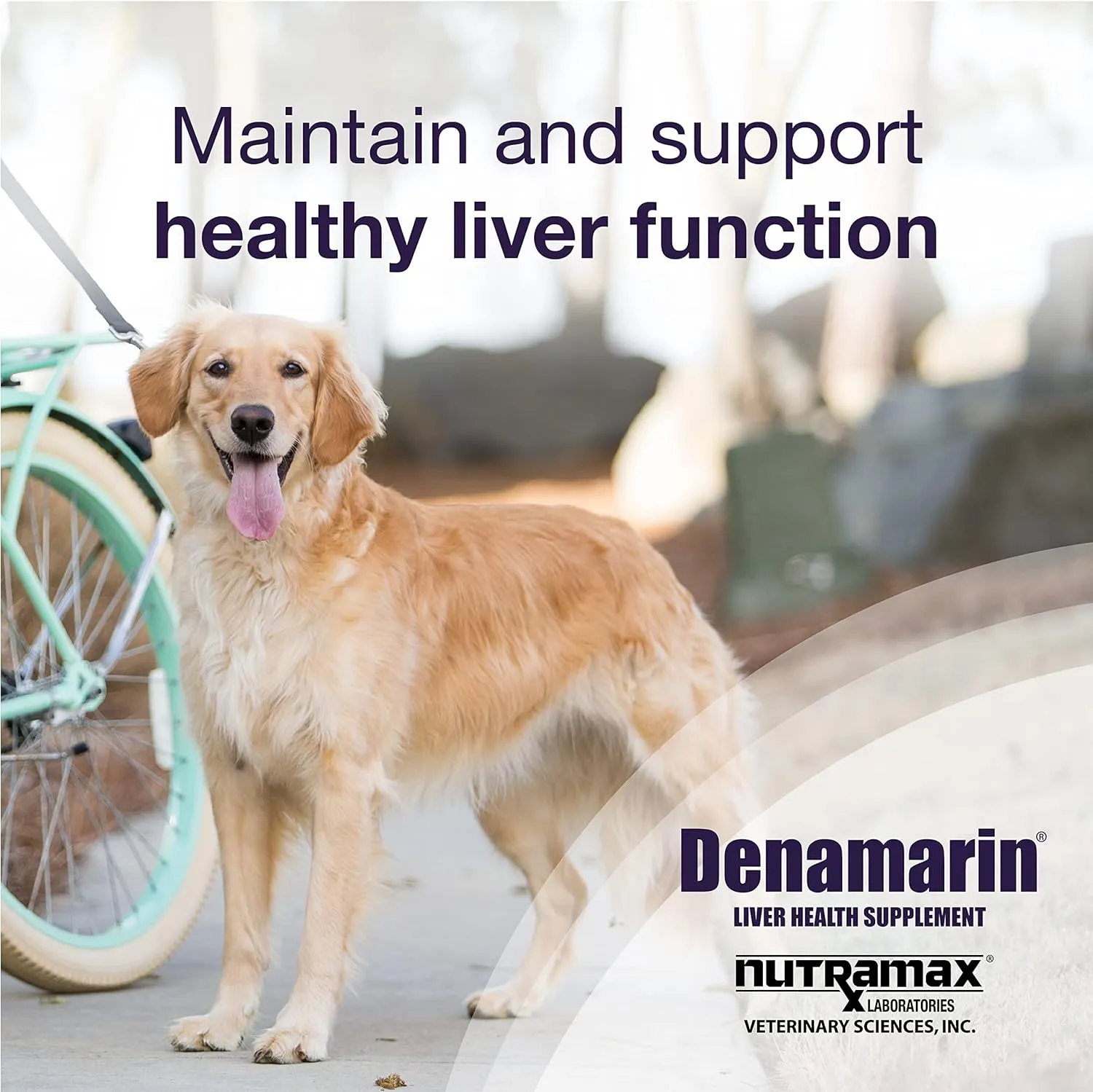 Denamarin Liver Health Tablets