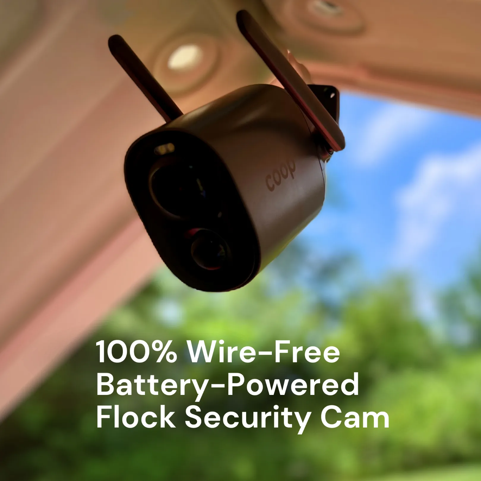 EggsteinAI CoopCam: 24/7 Flock Security