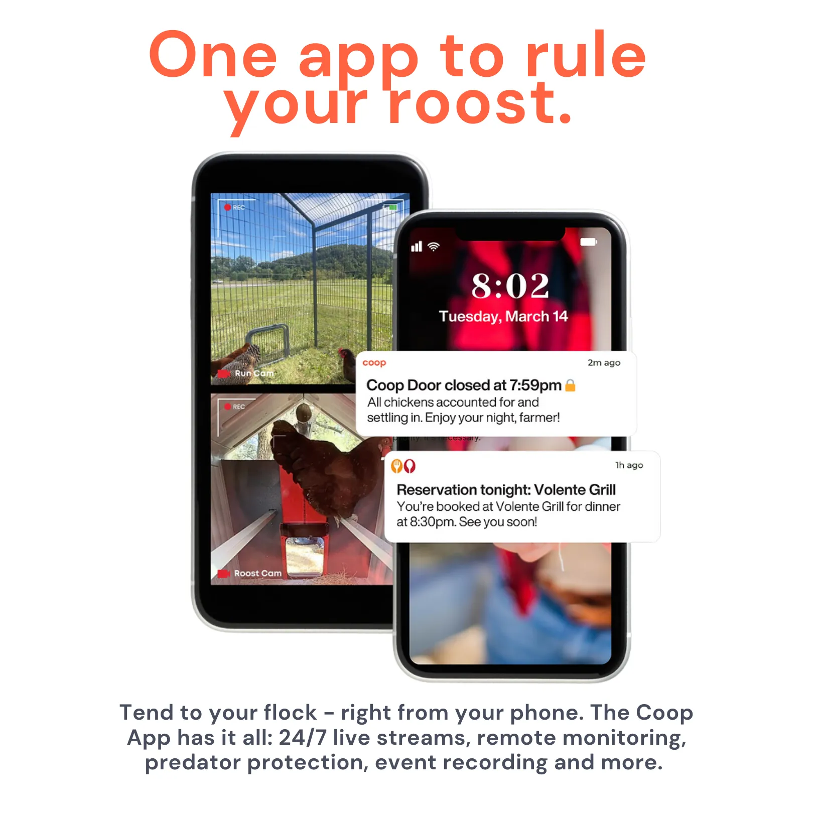 EggsteinAI CoopCam: 24/7 Flock Security
