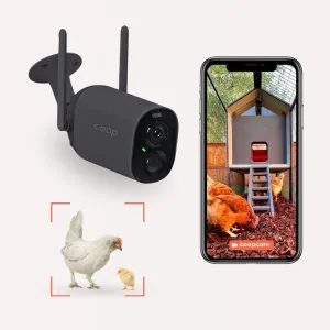 EggsteinAI CoopCam: 24/7 Flock Security