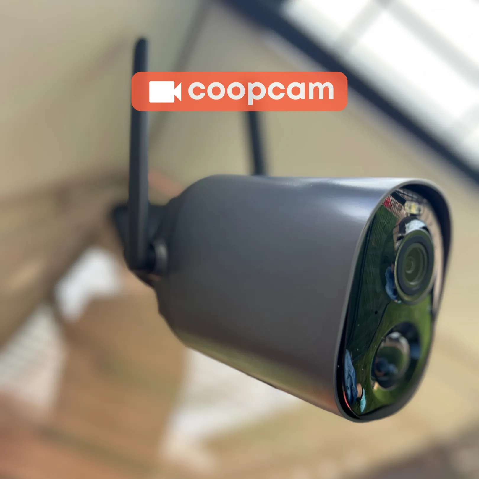 EggsteinAI CoopCam: 24/7 Flock Security