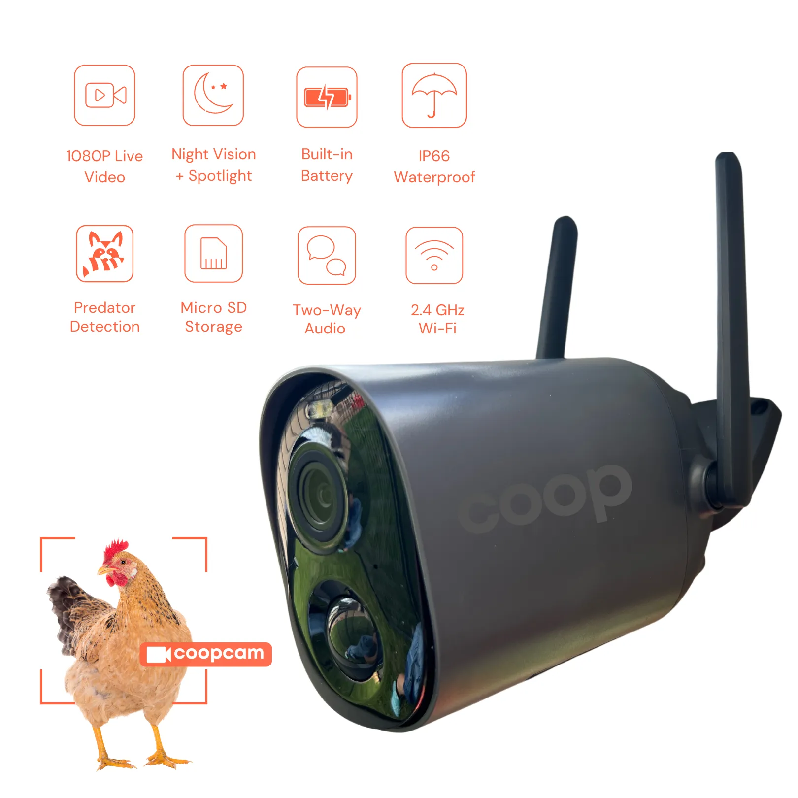 EggsteinAI CoopCam: 24/7 Flock Security