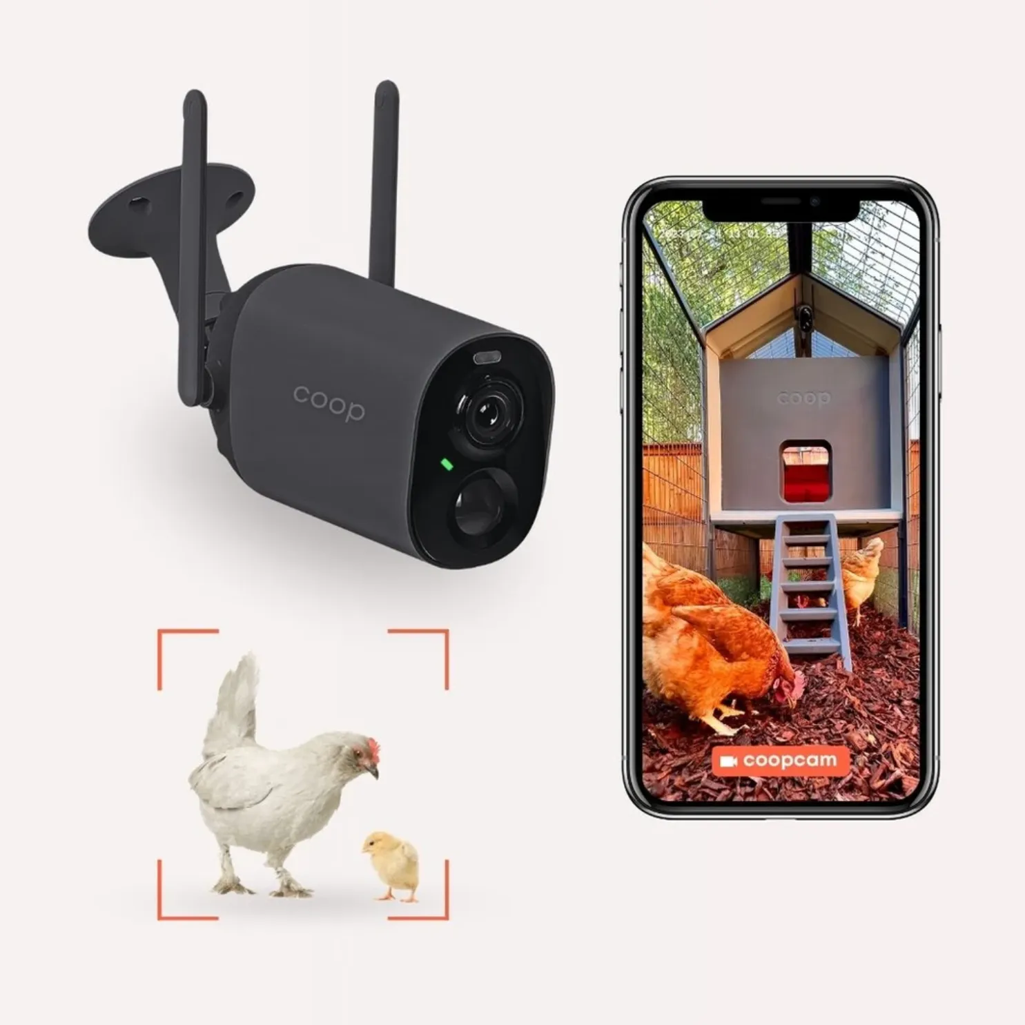 EggsteinAI CoopCam: 24/7 Flock Security