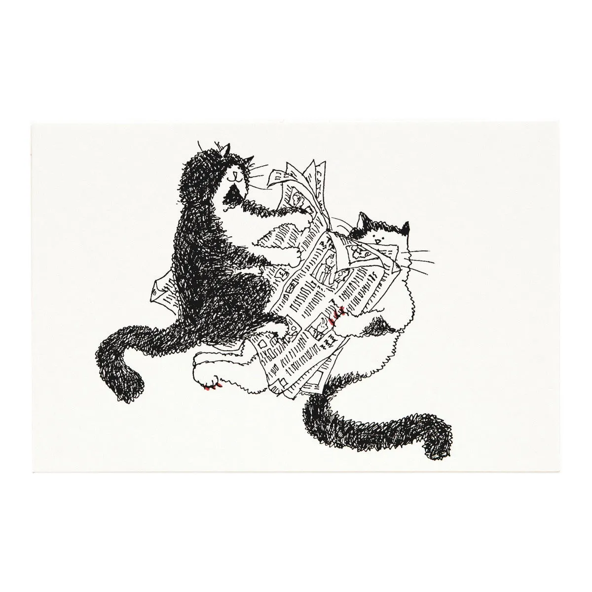 Grace Coddington Card - Blanket's Reading