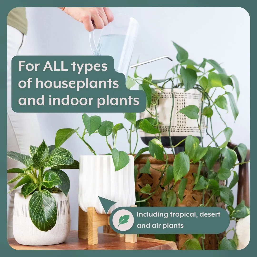 Instant Plant Food- Complete Plant Care Bundle for HOUSEPLANTS